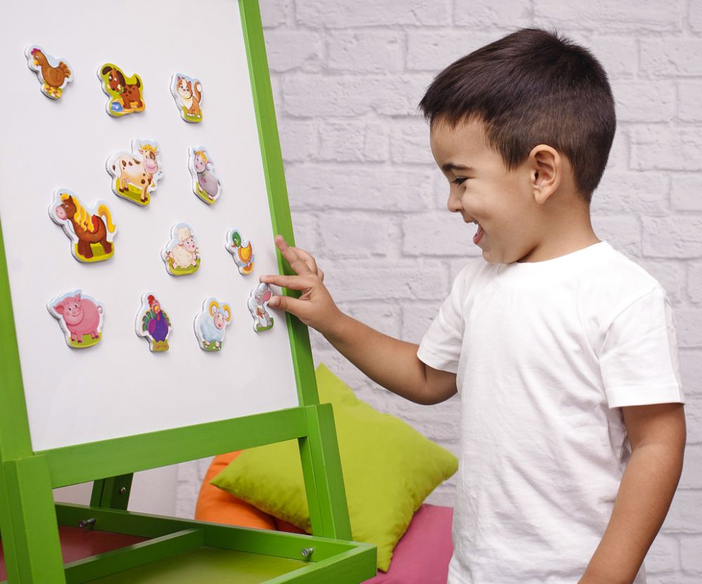 Колекція магнітів «Мій маленький світ. Ферма»