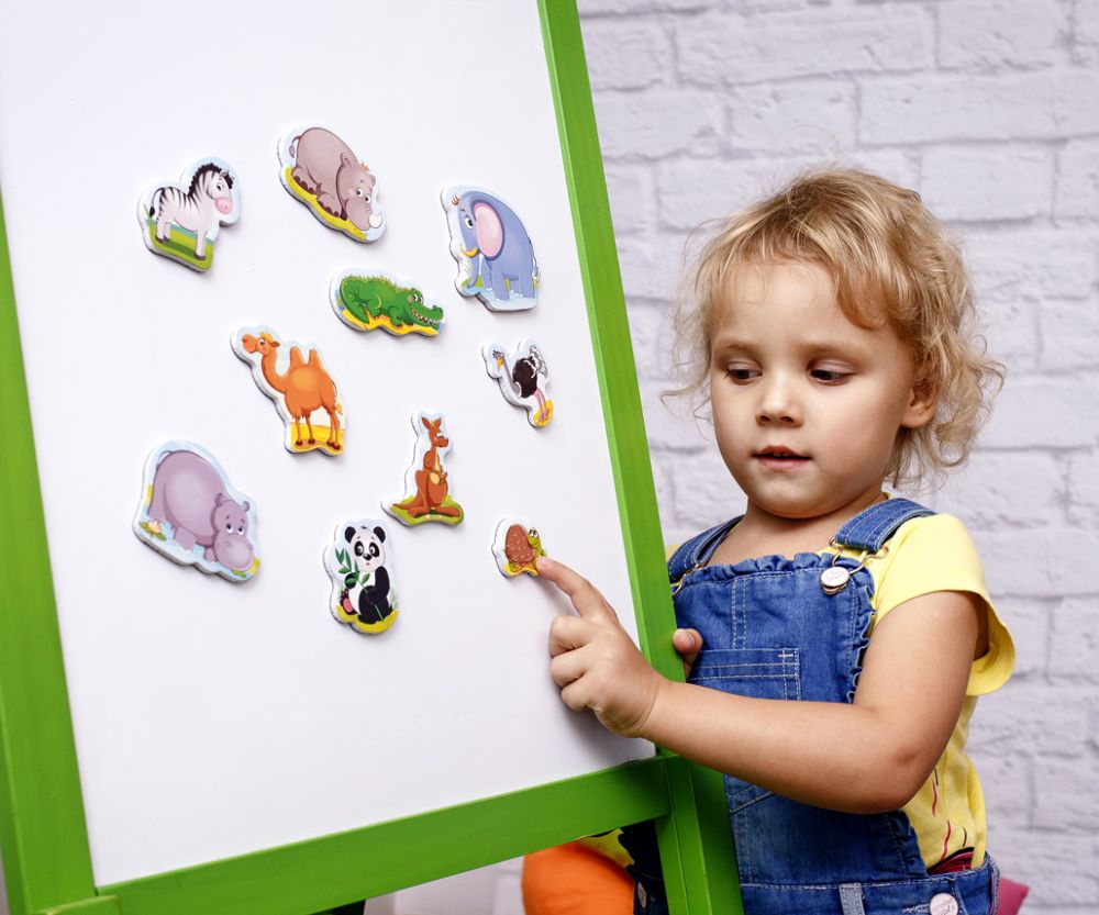 Колекція магнітів «Мій маленький світ. Зоопарк»